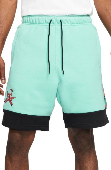 JORDAN AJ11 Fleece Shorts DD5279 307 