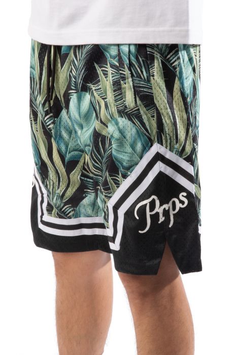 Palm Shorts Green Multi