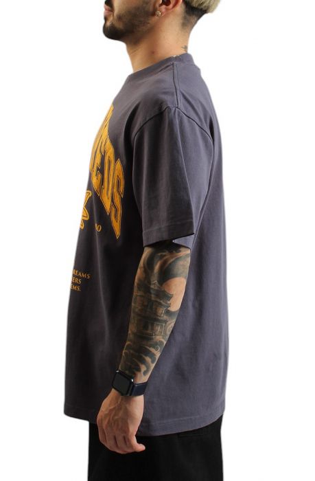 Alumnus T-Shirt grey