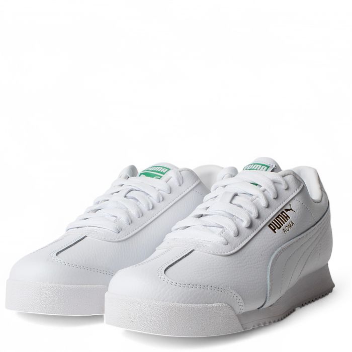 Roma 24 Standard White-Archive Green