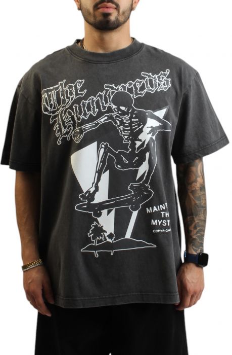 Skull Mountain T-Shirt Grey