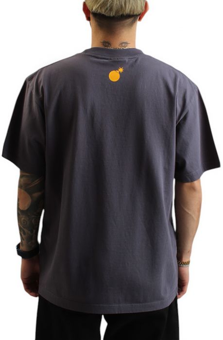 Alumnus T-Shirt grey