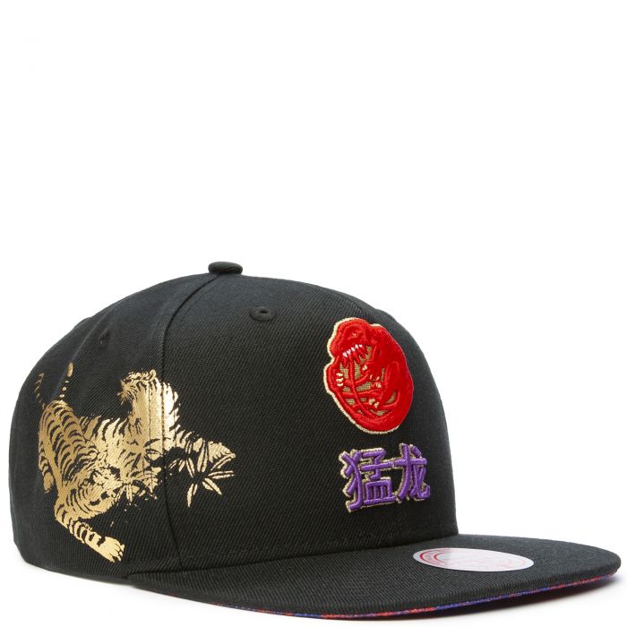 Kšiltovka Mitchell & Ness Water Tiger Snapback Hwc Portland Trail