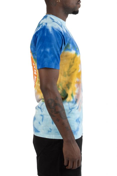 Fresh Pear Tie Dye T-Shirt Multi Color