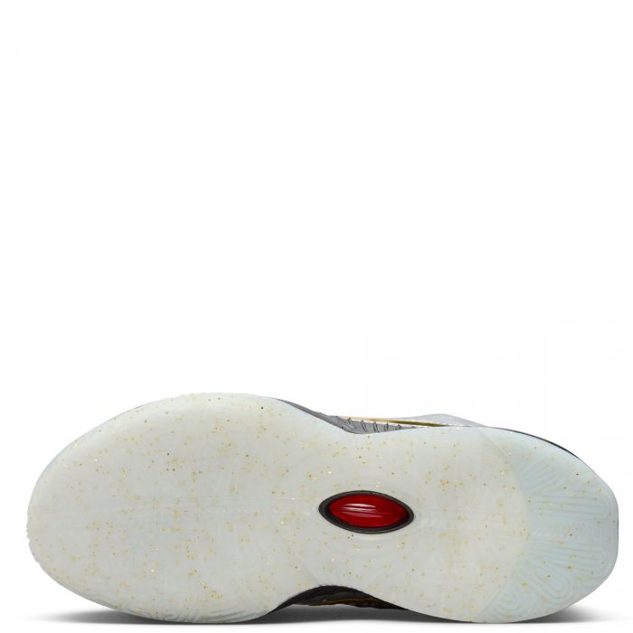 Grade School LeBron XXI SE Metallic Silver/Metallic Gold-Black