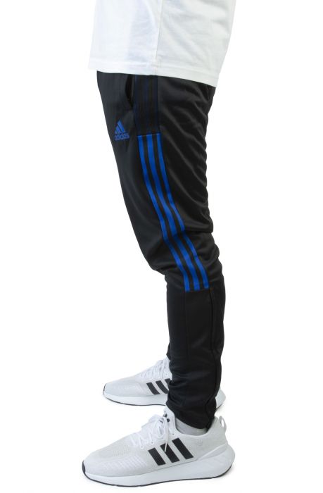 Black and royal blue track pants sales