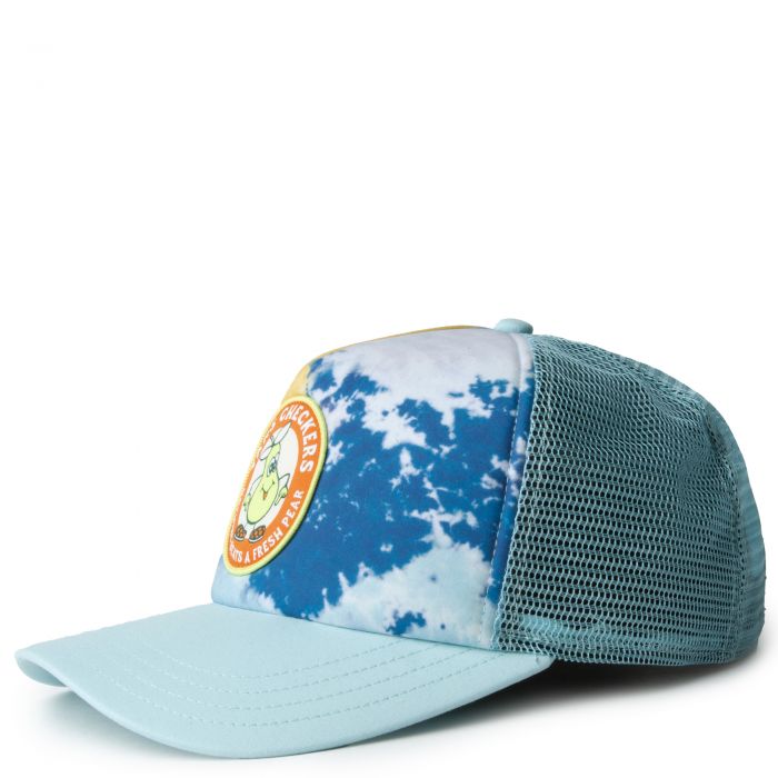Checkers Curved Bill Trucker Hat Multi Color
