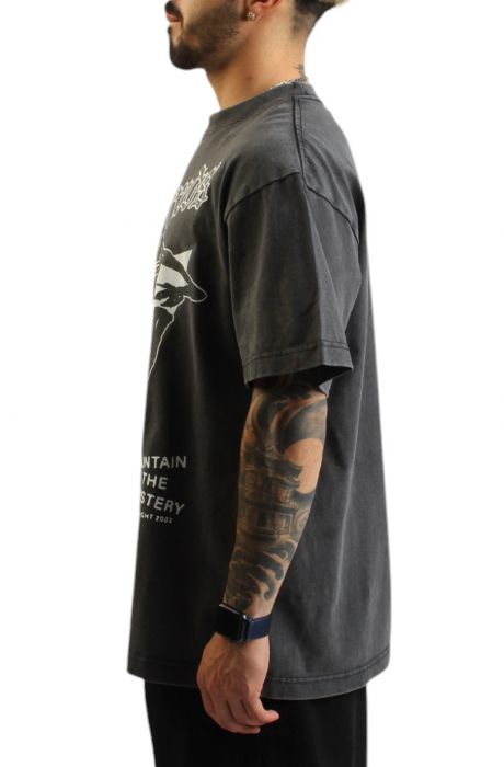 Skull Mountain T-Shirt Grey