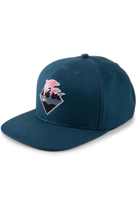 PINK DOLPHIN The Waves Snapback in 