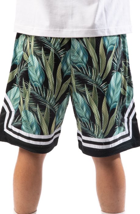 Palm Shorts Green Multi