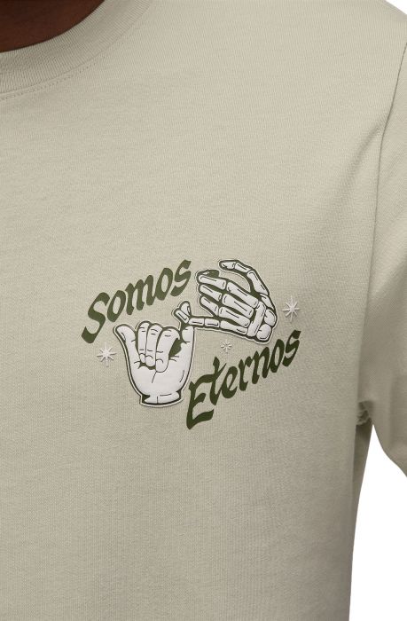 Jordan T-Shirt Light Stone/Legion Green