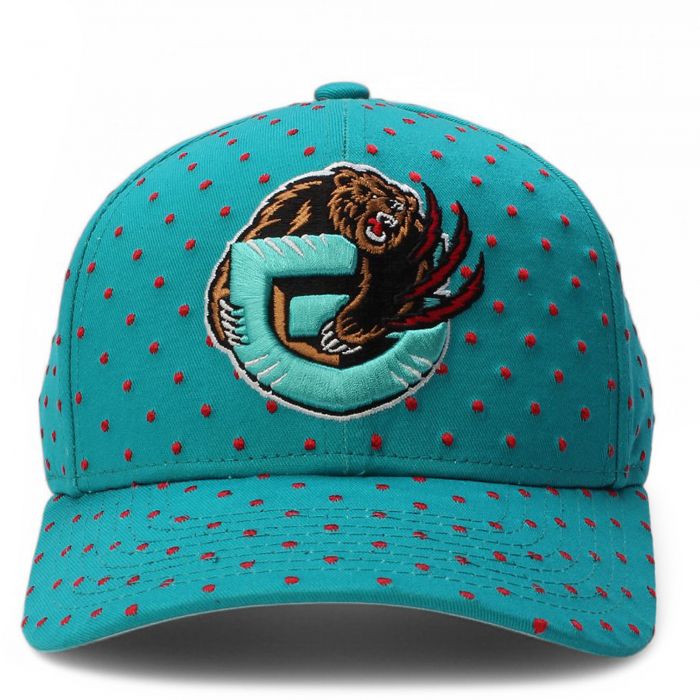 NBA Vancouver Grizzlies Polka Polka Pro Snapback  Teal