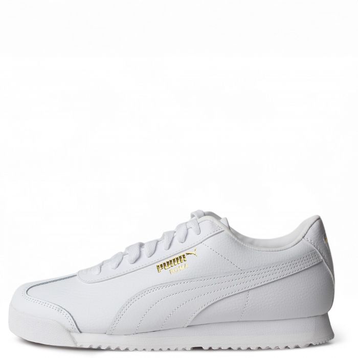 Roma 24 Standard White-Archive Green