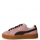 Peach Smoothie-Chestnut Brown-Frosted Ivory