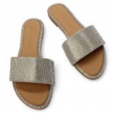 Silver Rhinestone