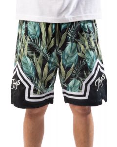 Palm Shorts Green Multi