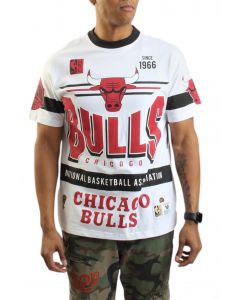 NBA Chicago Bulls Team Origins Premium Vintage Logo T-Shirt  White