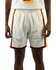 Shop ICER BRANDS MEN Los Angeles Lakers Mesh Shorts GSMC709S-PUR purple