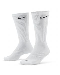 Everyday Plus Cushioned (6 Pairs) Multi Color