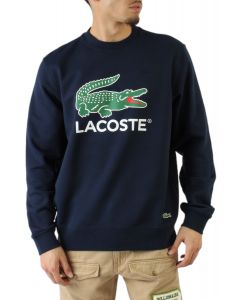 Lacoste sweatshirt big logo online