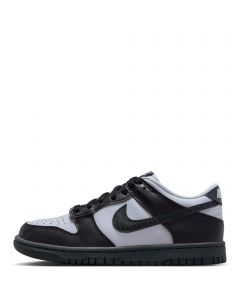Grade-School Nike Dunk Low Correct Descriptive Color Format