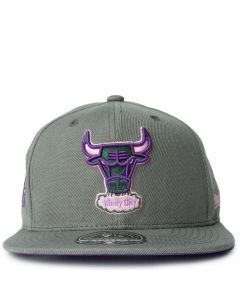 Men's Mitchell & Ness Purple Charlotte Hornets Side Core 2.0 Snapback Hat