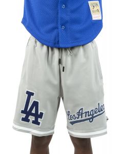 LA Dodgers World Series Trophies #shorts 