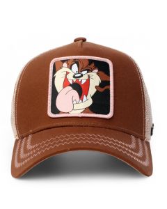 Taz Trucker Hat  Brown