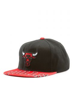 MITCHELL & NESS Vancouver Grizzlies Water Tiger Snapback  HHSS2988-VGRYYPPPBLCK - Karmaloop