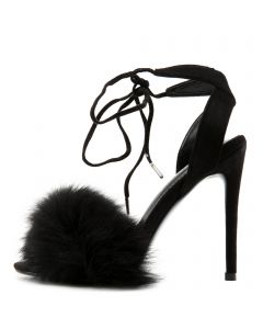 ladies high heel shoe