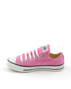 All Star Ox Sneaker Pink Canvas
