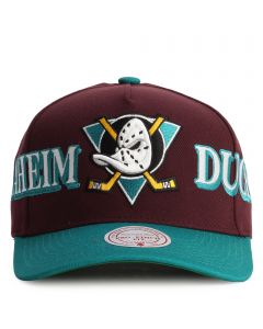 NHL Anaheim Ducks Pro-Pinch Fit Snapback  Purple/Teal