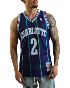 Larry Johnson Charlotte Hornets 1994/95 Hardwood Classics Swingman Player Jersey Purple