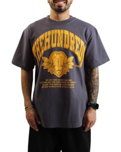 Alumnus T-Shirt grey