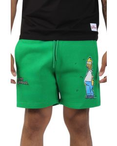 Homer In The Bushes Shorts Kelly Green