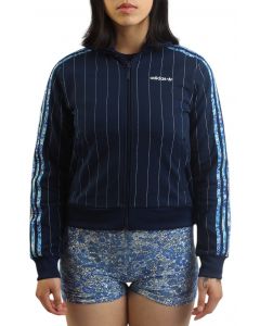 アレシャンドレ・パト FEATHER WEIGHT 55 | APACS JAPAN