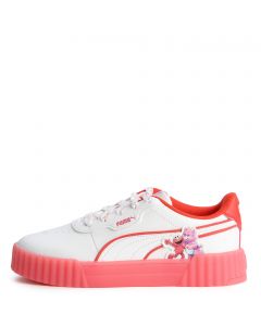 Carina 3.0 Care Bears x Sesame street