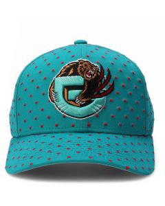 NBA Vancouver Grizzlies Polka Polka Pro Snapback  Teal