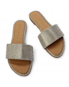 Silver Rhinestone