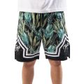 Palm Shorts Green Multi