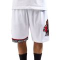 Vancouver Grizzlies Swingman Shorts White
