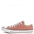 Chuck Taylor All Star Canvas Light Saddle