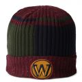 Warriors Beanie  Multi Color