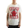 NBA Chicago Bulls Shattered Lockup T-Shirt  Vintage White