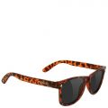 Leonard Polarized  Tortoise