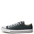 Chuck Taylor All Star  True Nature