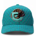 NBA Vancouver Grizzlies Polka Polka Pro Snapback  Teal