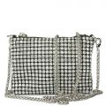 Small Rhinestone Bag Clear/Black
