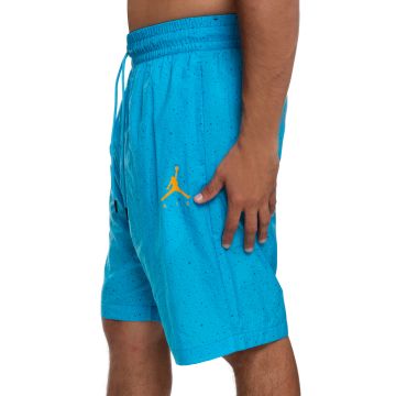 jordan poolside shorts