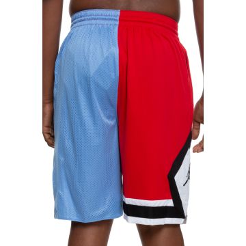 jordan dna distorted shorts